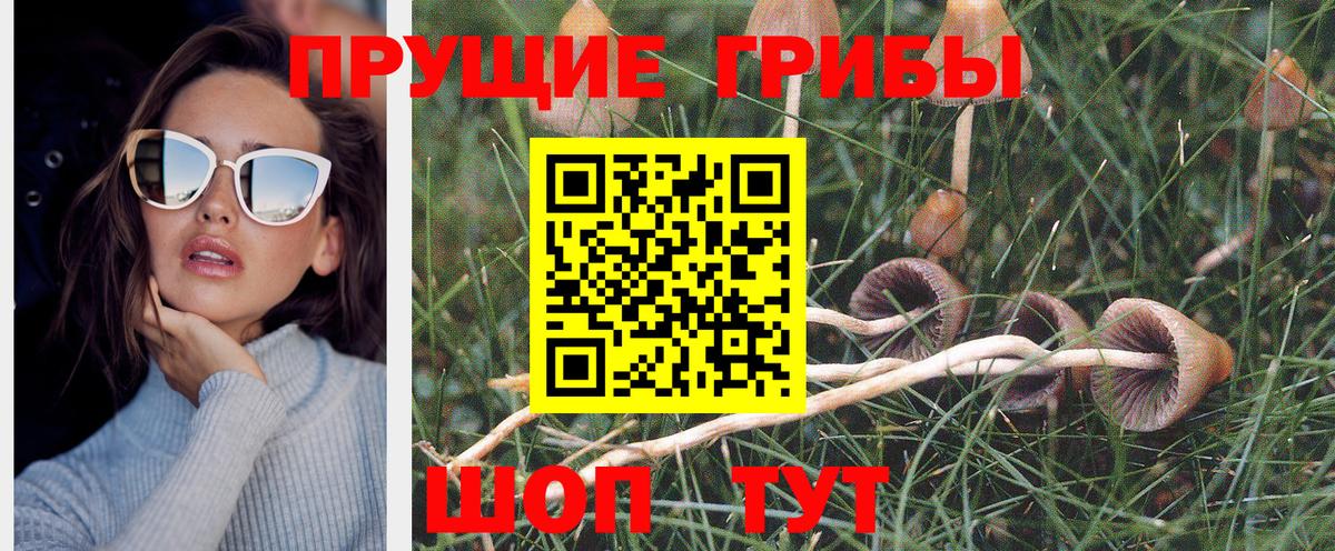 Галлюциногенные грибы прущие грибы Елизово