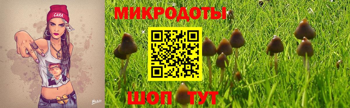 Елизово  Псилоцибиновые грибы прущие грибы  Вход с VPN  Галлюциногенные грибы мухоморы 