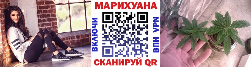 МАРИХУАНА семена  сайты даркнета телеграм  ссылка на мегу зеркало  Елизово  купить наркоту 